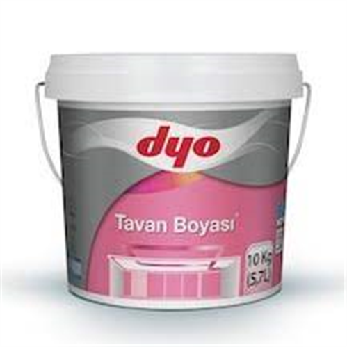DYO 17.5KG TAVAN BOYASI